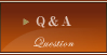 Q&A